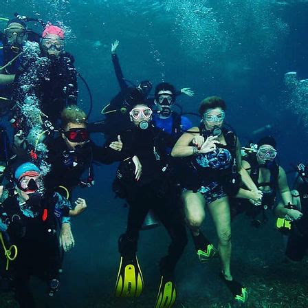 Bespoke Conservation Scuba Diving Dive Trips DiverMojo