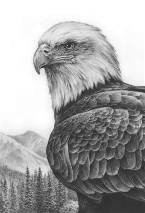 Shaded animal drawings is handy for you to search on this website. 50+ Easy Pencil Drawings of Animals That Look So Realistic
