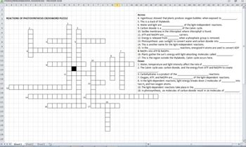 Ppt format is available for free.just comment down below your email and hit subscribe button.have fun! Photosynthesis Reactions Crossword Puzzle (electronically ...
