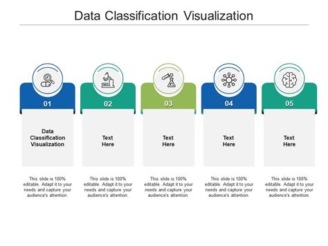 Data Classification Visualization Ppt Powerpoint Presentation Layouts
