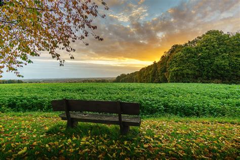 Wallpaper Id 137435 Nature Field Outdoors Bench Sky Free Download