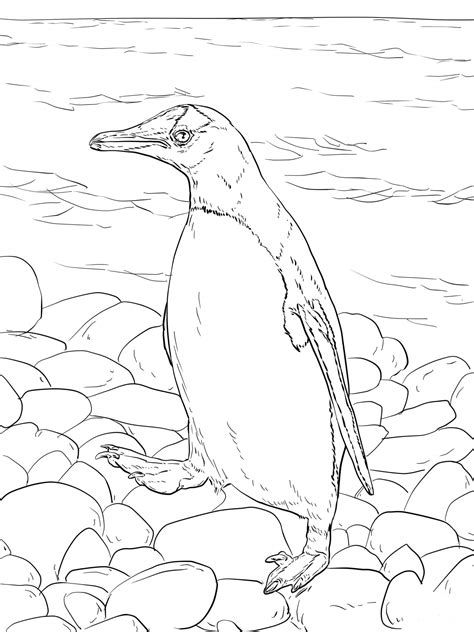 You can use our amazing online tool to color and edit the following emperor penguin coloring pages. 30 Free Penguin Coloring Pages Printable