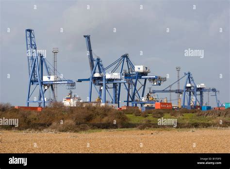 Gantry Cranes Felixstowe Container Port Suffolk Uk Stock Photo Alamy