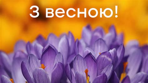 З першим днем весни вітаю. Листівки з першим днем весни | Факти ICTV