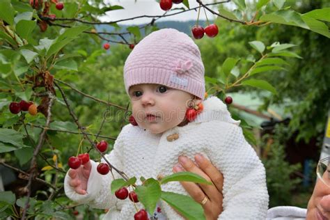 Laughing Baby Face With Red Cherries In The Ears Stock Photo Image Of