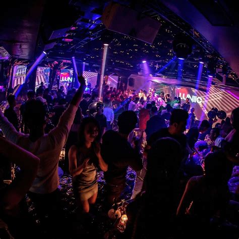 shark club hanoi all you need to know before you go