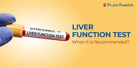 Liver Function Tests Purpose Procedure And Results Dr Lal Pathlabs