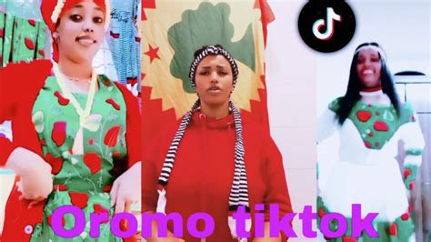 Sirba Afaan Oromoo Haaraa 2023 Oromo Music Oromo Tiktok Youtube