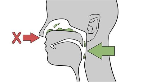 Как избавиться от слизи в горле Wikihow Mucus In Throat Mucus