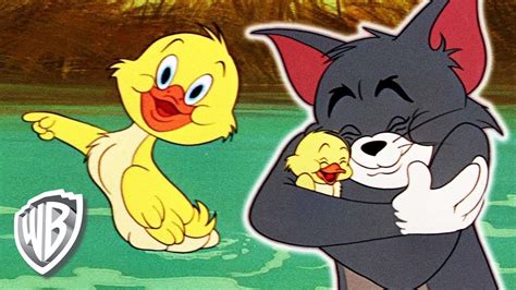 Tom Y Jerry En Español Los Mejores Momentos De Little