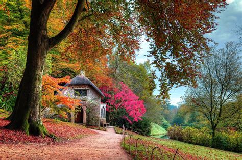 Fall Garden Cottage Leaves Trees Lawns Shrubs Pink Green