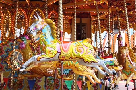 Carousel Horse Free Stock Photo Public Domain Pictures