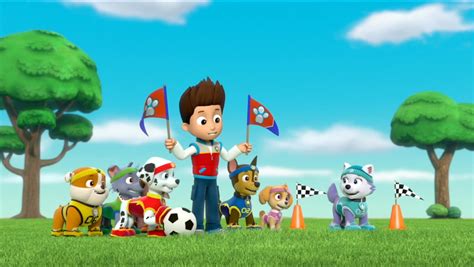 Image All Star Pups 5 Paw Patrol Wiki Fandom Powered By Wikia