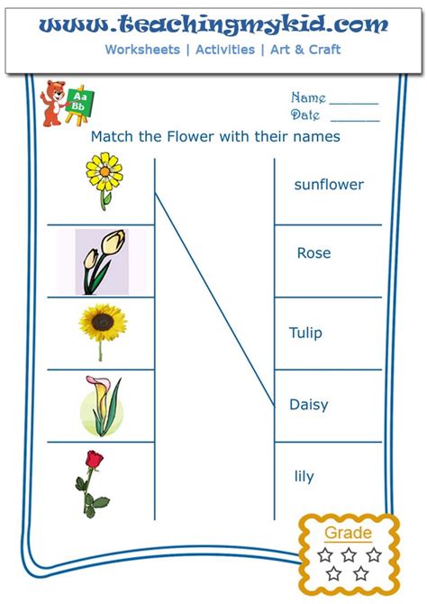 Flower Worksheet For Kindergarten