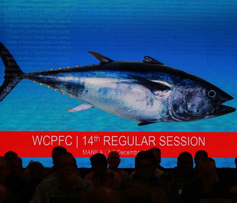 Unplugged Impacts Of 2018 Tuna Commission Measures On Pacific Island