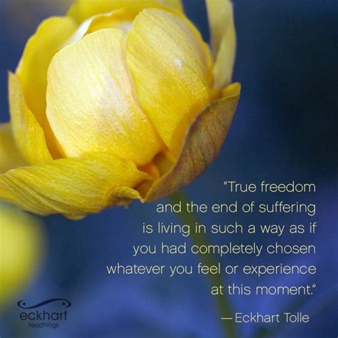 Weitere ideen zu eckhart tolle jetzt, tolle, spirituell. Eckhart Tolle Zitate (@EckhTolleZitate) | Twitter | Tolle ...