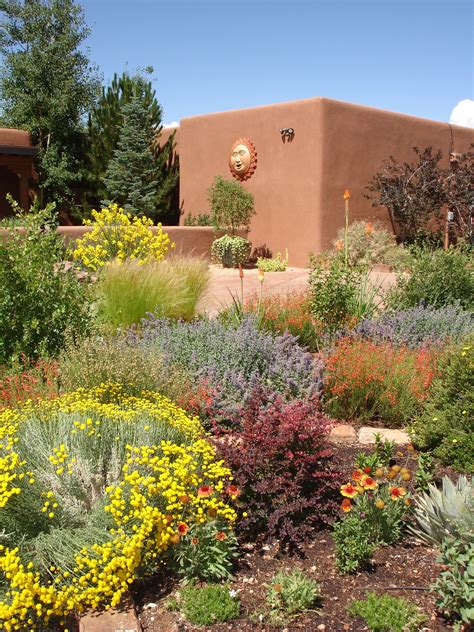 Desert Landscape Ideas For Backyards Landscaping