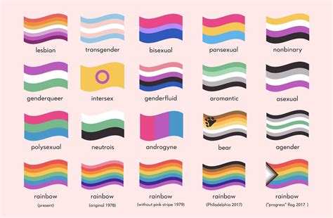 Lgbtq Pride Hand Flags Lgbt Rainbow Gay Trans Queer Bi Bear Progress