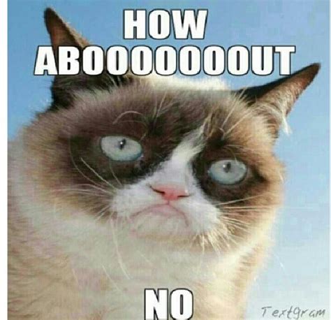 How Abouuut No Funny Grumpy Cat Memes Grumpy Cat Humor Grumpy Cat