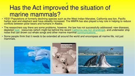 Ppt Marine Mammal Protection Act Of 1972 Powerpoint Presentation