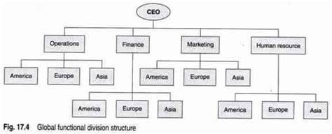 Structure Of Global Organization