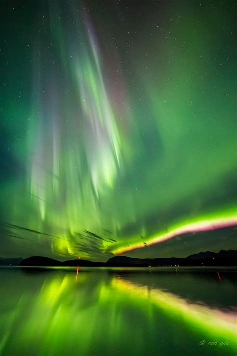 A Trip To Alaska Maybe Again Aurora Borealis Northern Lights