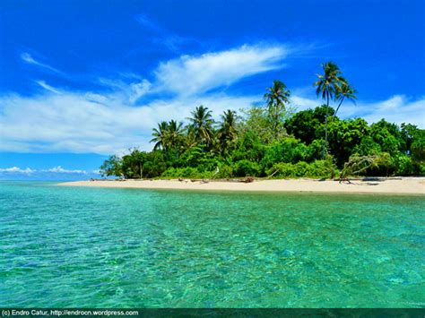 The Exotic Babi Island Visit Indonesia The Most Beautiful