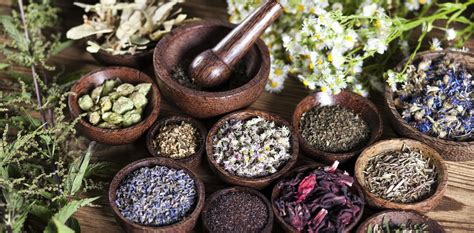 Traditional Medicines Must Be Integrated Into Health Care For