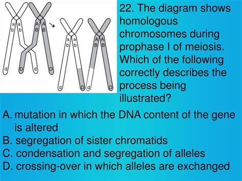 Please mention / complete your question nuclear membrane is present. PPT - Biology CST Practice Questions PowerPoint ...
