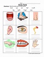 human body parts worksheet | Have Fun Teaching