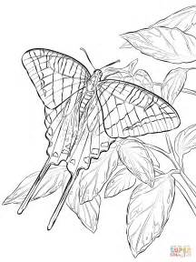 Gambar Zebra Swallowtail Butterfly Coloring Page Free Printable Click