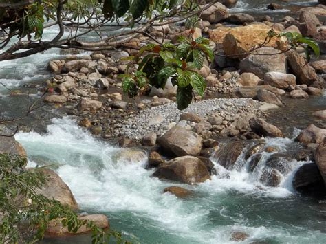 4 Major Rivers of Bhutan - The Lifeline of the Country