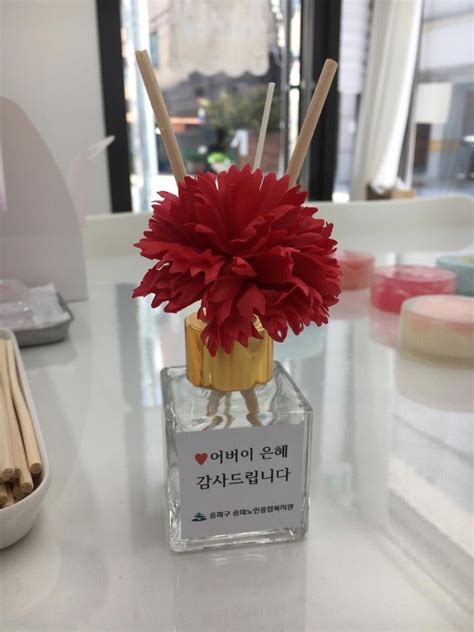 인기검색어 #어린이날 #어버이날 #카네이션 #관찰일지. 송파구, 어버이날 '카네이션디퓨저 만들기' - 아시아경제