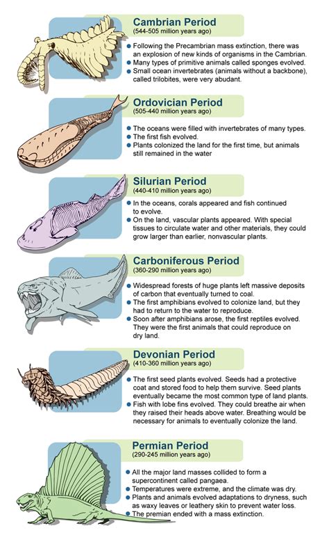 Cambrian To Permian Period Of Time Prehistoric Animals Prehistory