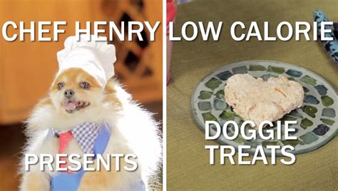 Here are 12 of our favorite recipes to whip up. Chef Henry The Pom's Recipe For Homemade, Low-Calorie Dog Treats VIDEO - Dogs Explorer