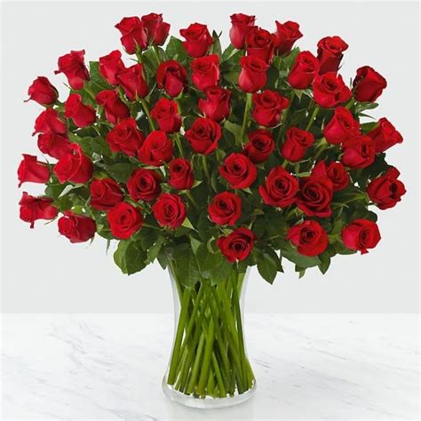 Red Roses 50 Stems Interflora