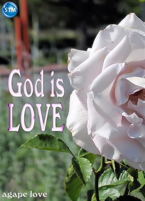Agape Love The Genuine Love Of God Is True Love Gods Love Verses
