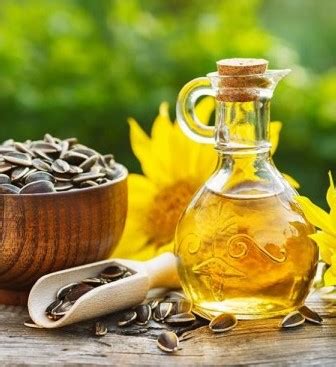 Selain bermanfaat untuk menghasilkan snack, bunga ini juga dimanfaatkan sebagai penghias taman dan sebagainya. 13 Manfaat Minyak Bunga Matahari untuk Kesehatan