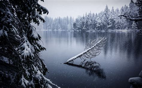 Download Wallpapers Winter Mountain Lake Forest Snow Frost