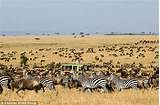 Safari Parks In Tanzania Images