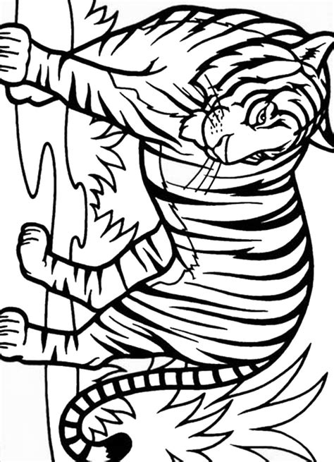 Printable zebra coloring pages for kids. Tiger Coloring Pages