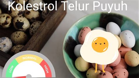 Harga telur puyuh terkadang mengalami naik dan turun seperti telur ayam. Telur Burung Puyuh Berkolestrol Tinggi? Benarkah Lebih ...