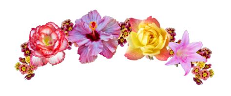 Pink floral headdress, flower crown, flower crown, blue, flower arranging png. Flower Crown PNG, Flower Crown Transparent Background - FreeIconsPNG