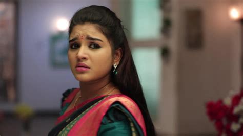 Watch Sembaruthi Tv Serial 17th June 2019 Full Episode Online On Zee5
