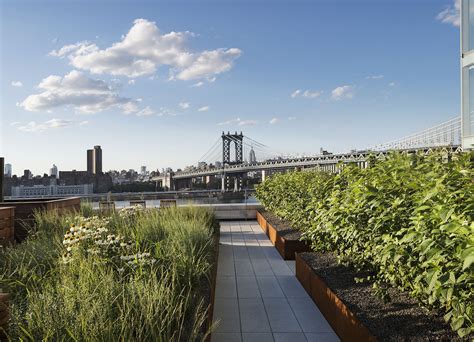 Rooftop gardens not only provide beauty, rooftop gardens can provide food, temperature control, architectural enhancement, shade, and recreation. Dock Street Rooftop Terrace by James Corner Field ...