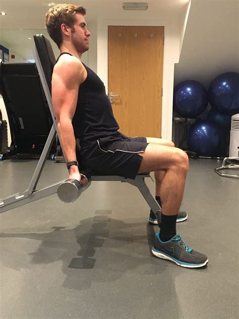 Seated Bicep Curl G4 Physiotherapy And Fitness