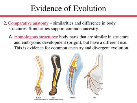 Ppt Evidence Of Evolution Powerpoint Presentation Id2657040