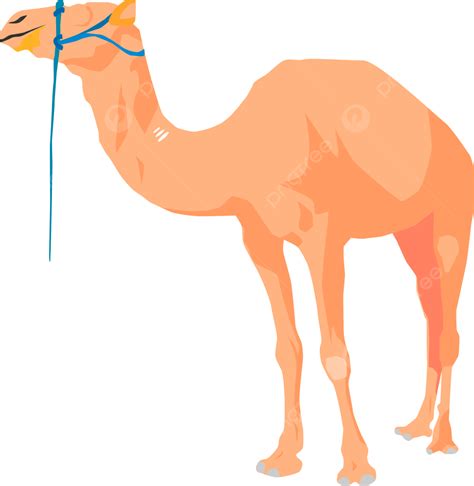 Faceless Face Vector Art Png Faceless Brown Camel Standing Facing Left