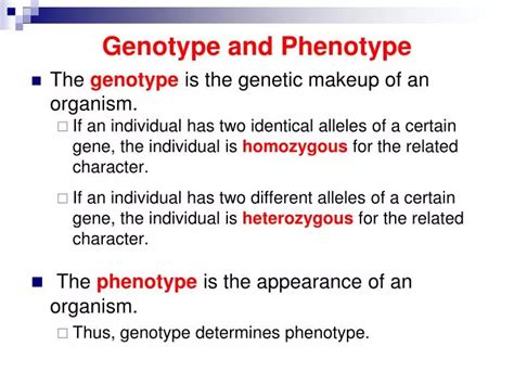 Ppt Genotype And Phenotype Powerpoint Presentation Free Download