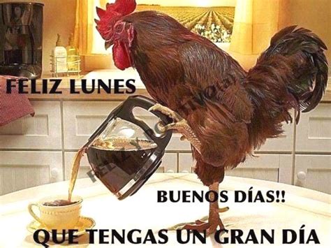 Feliz Lunes imágenes bonitas para WhatsApp Página de HermosasImagenes net